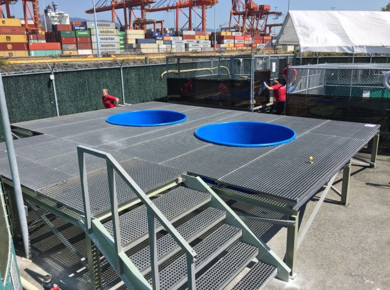 Eco-Friendly Construction with GRP Grating: Sustainability Benefits
