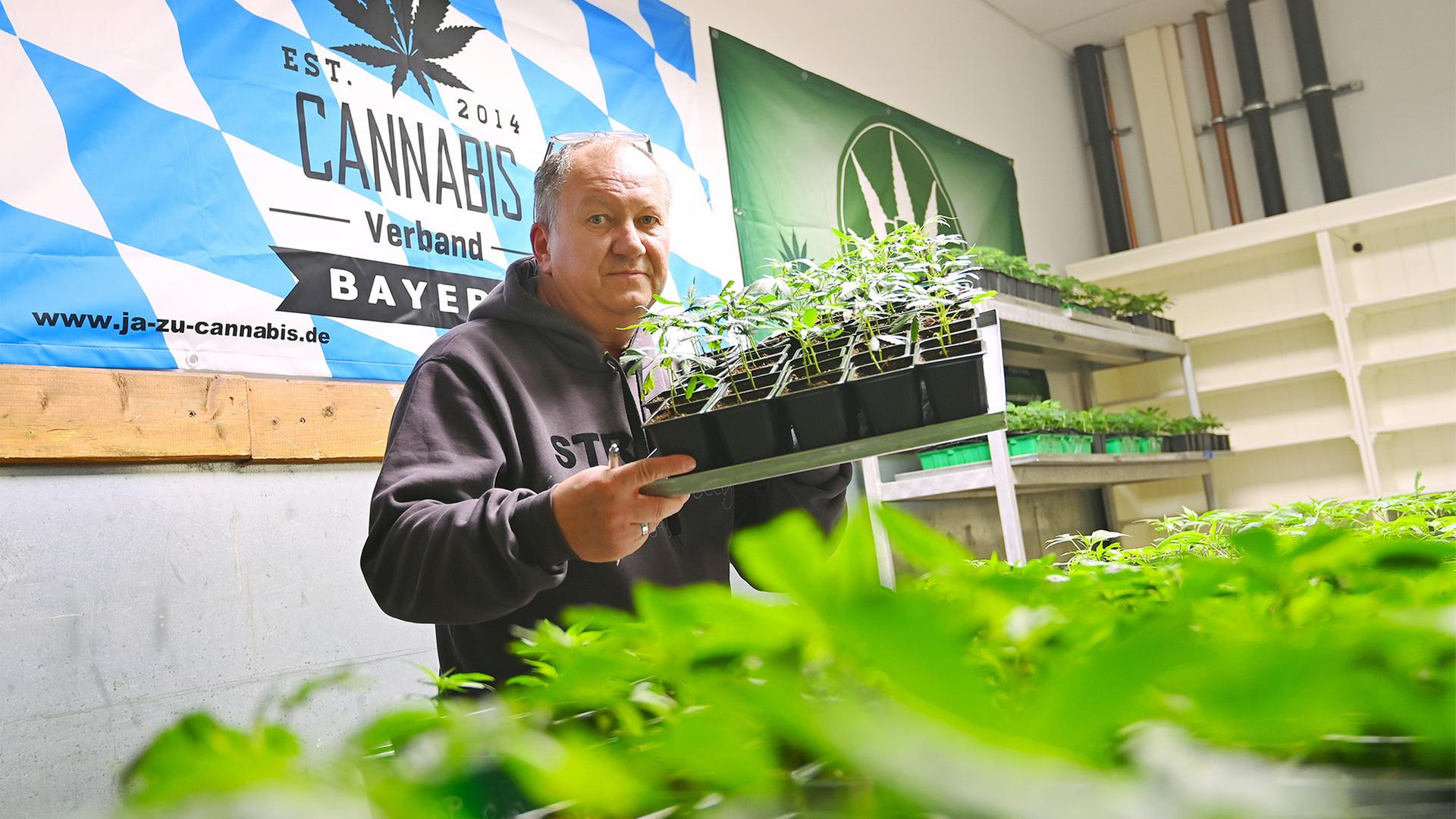 How to Legally Join a Lloret de Mar Cannabis Club