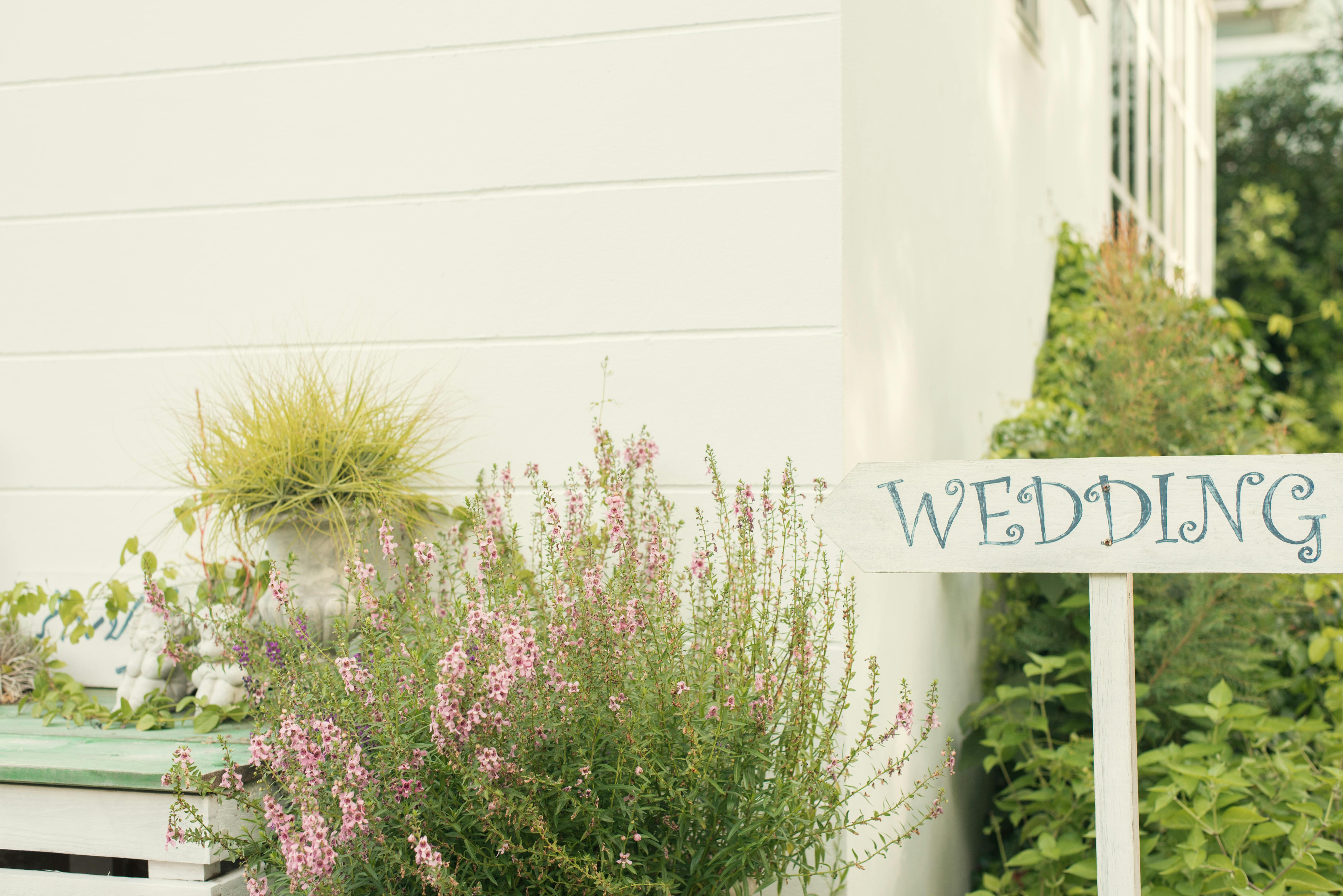 Host a Memorable Quinceañera at the Best Quinceañera Venue Near Me