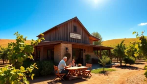 Couple enjoying the scenic environment of a Winery Sacramento, with lush vineyards and sunlight.