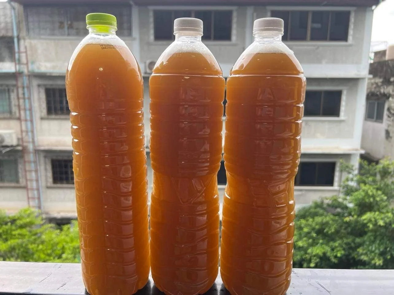 อัปเดตกระแสความนิยมของน้ำกระท่อมเชียงใหม่ปีล่าสุด